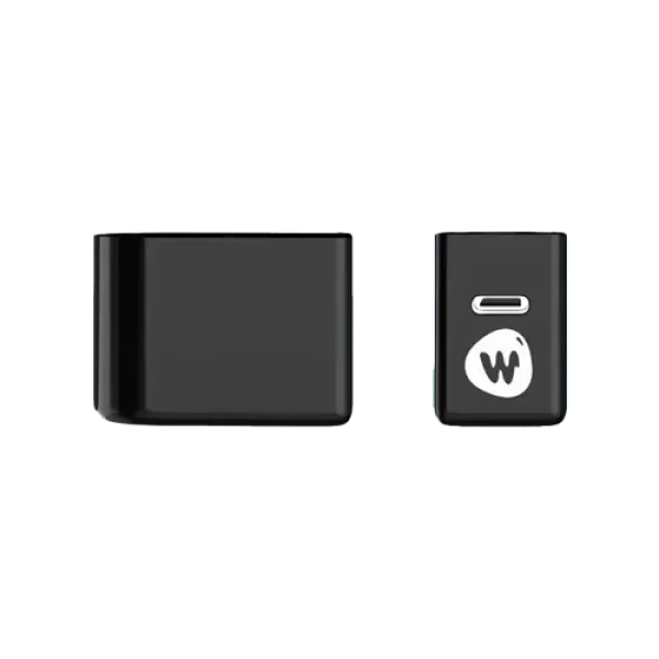 Will Well Disposable Battery